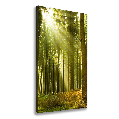 Foto obraz na płótnie pionowy Słońce w lesie