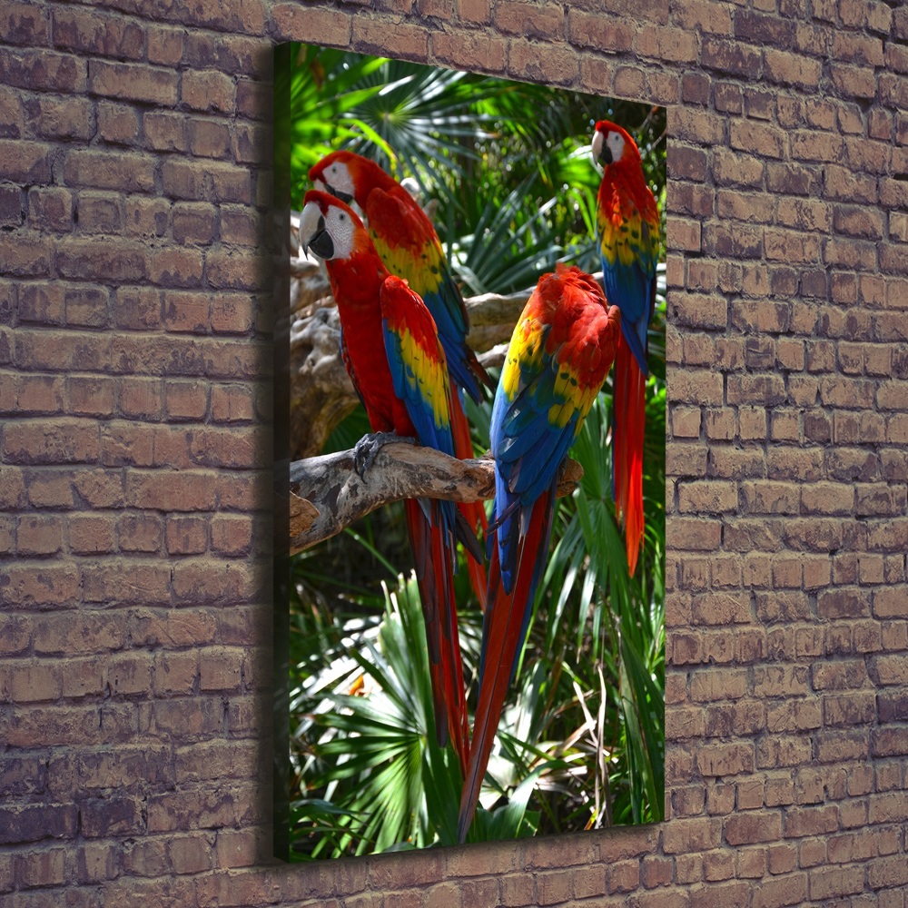 Foto obraz na płótnie do salonu pionowy Papugi Ary
