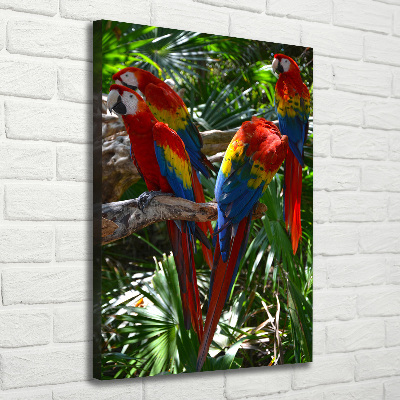Foto obraz na płótnie do salonu pionowy Papugi Ary
