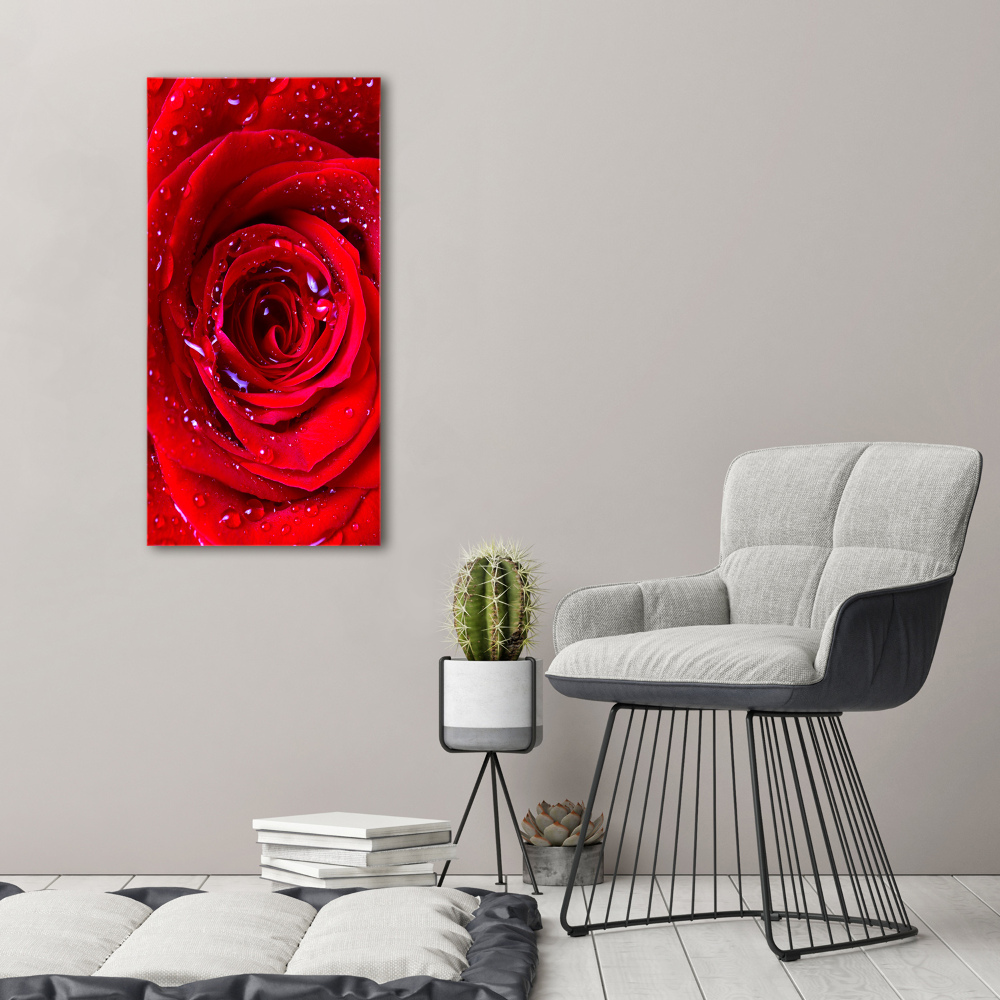 Foto obraz na płótnie pionowy Czerwona róża