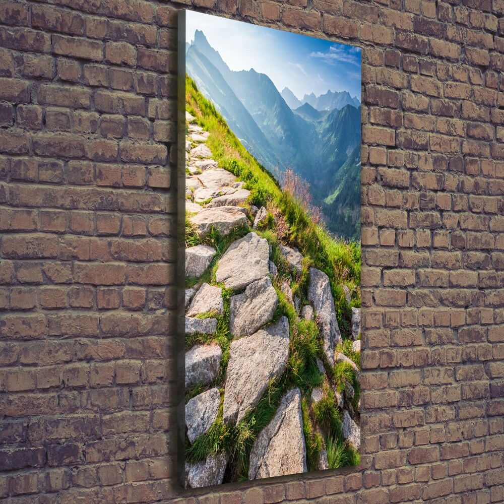Foto obraz canvas pionowy Górski szlak