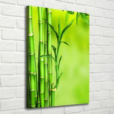 Nowoczesny fotoobraz canvas na ramie pionowy Bambus