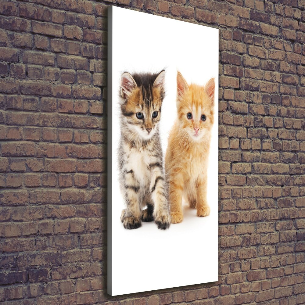 Foto obraz na płótnie pionowy Szary i rudy kot