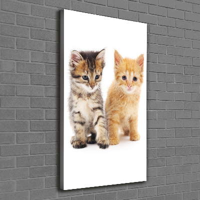 Foto obraz na płótnie pionowy Szary i rudy kot