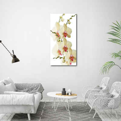Foto obraz na płótnie do salonu pionowy Orchidea