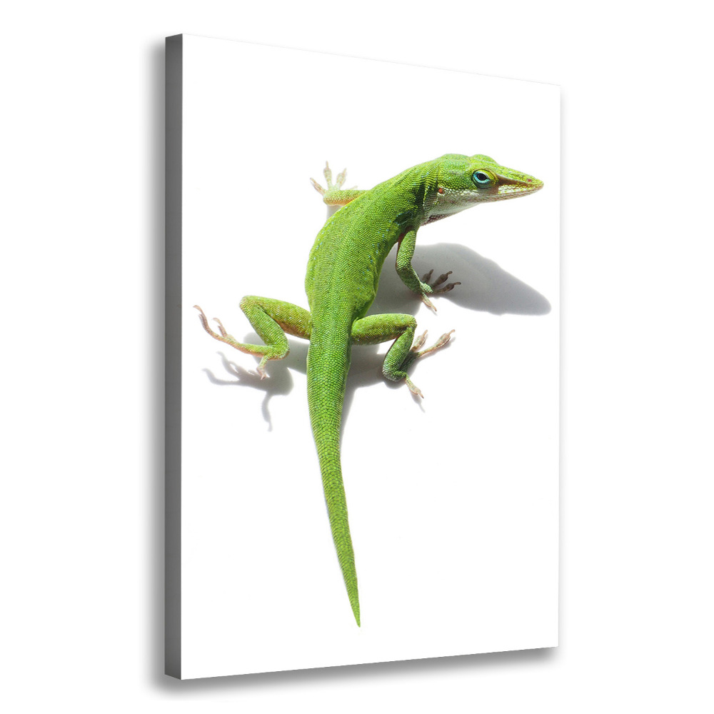 Foto obraz na płótnie pionowy Zielona jaszczurka