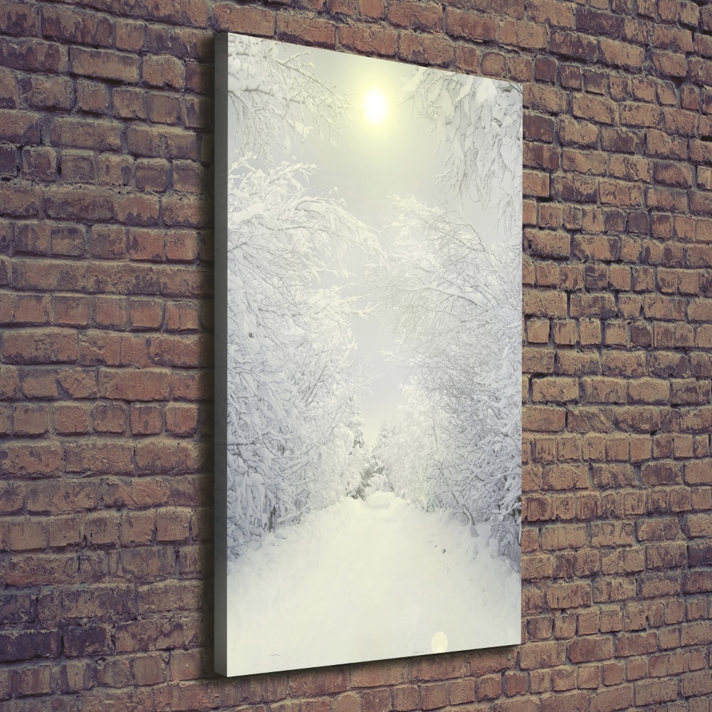 Foto obraz na płótnie do salonu pionowy Las zimą