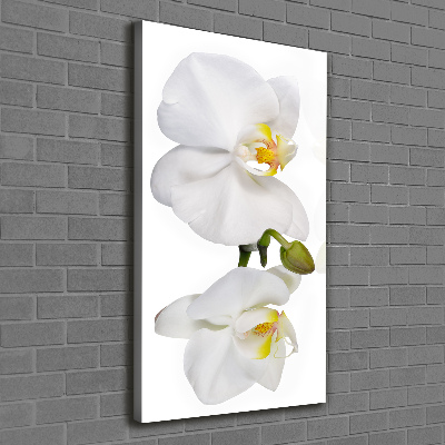 Foto obraz na płótnie pionowy Biała orchidea