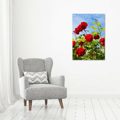 Foto obraz na płótnie do salonu pionowy Dzika róża