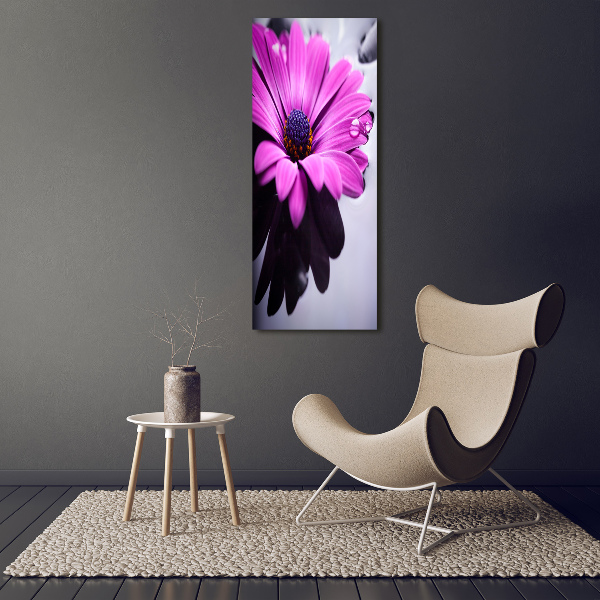 Foto-obraz canvas do salonu Różowa gerbera