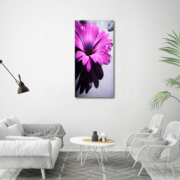 Foto-obraz canvas do salonu Różowa gerbera