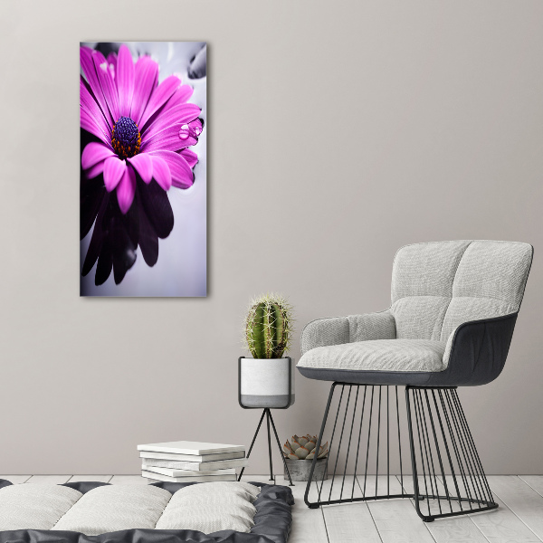 Foto-obraz canvas do salonu Różowa gerbera