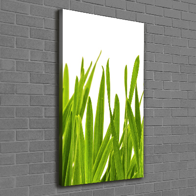 Foto obraz na płótnie pionowy Zielona trawa
