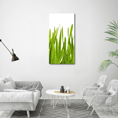 Foto obraz na płótnie pionowy Zielona trawa