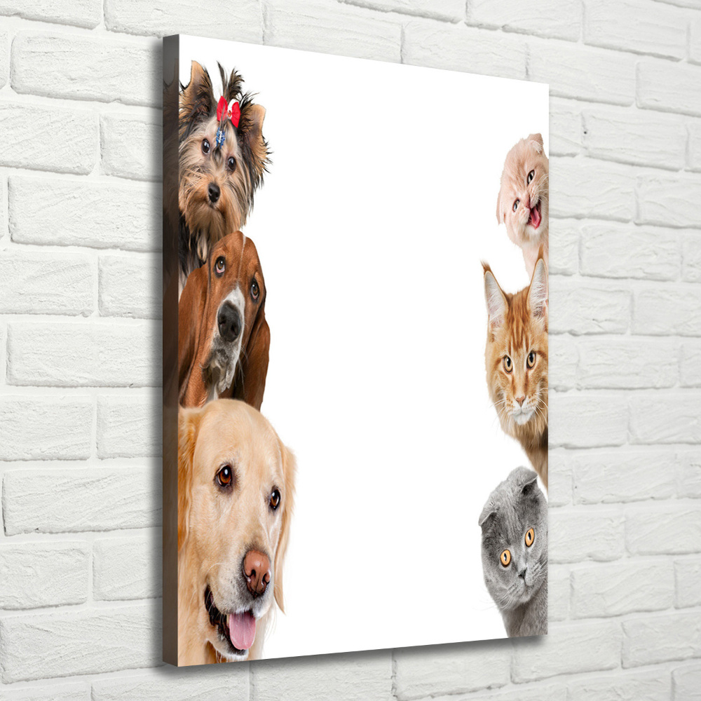 Foto obraz na płótnie do salonu pionowy Psy i koty