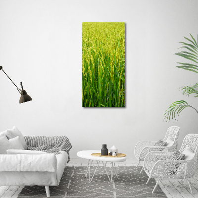 Foto-obraz canvas do salonu Plantacja ryżu