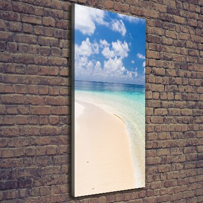 Foto obraz na płótnie pionowy Plaża Malediwy