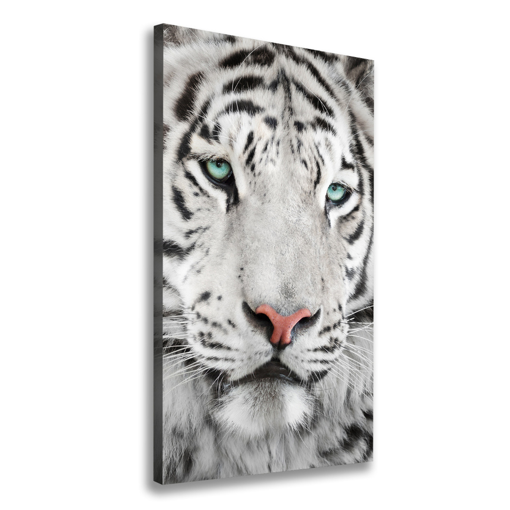 Foto obraz canvas pionowy Biały tygrys