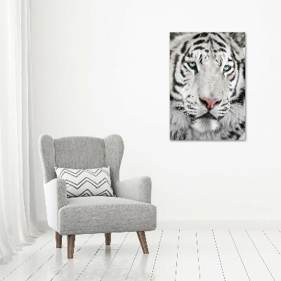 Foto obraz canvas pionowy Biały tygrys