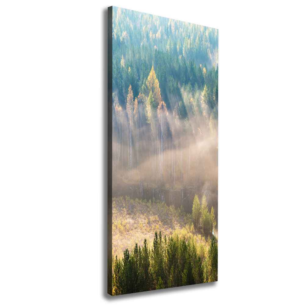 Fotoobraz zdjęcie na płótnie pionowy Mgła nad lasem