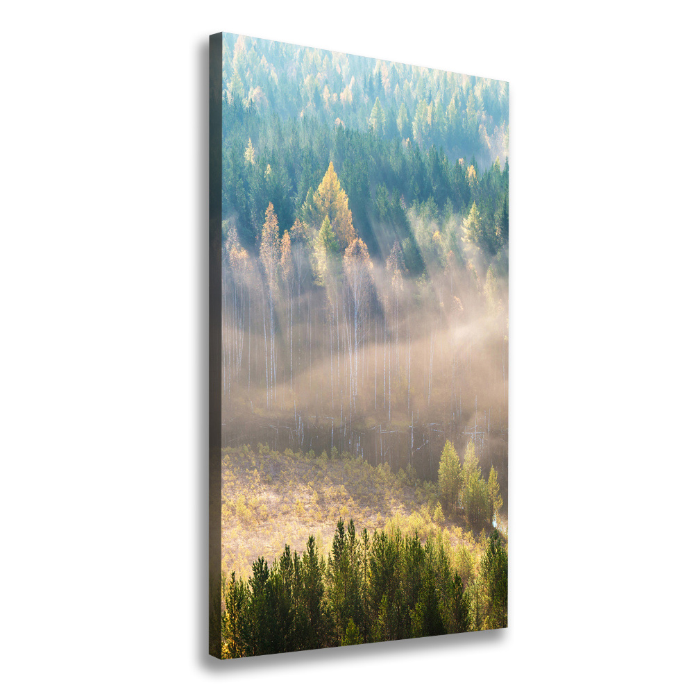 Fotoobraz zdjęcie na płótnie pionowy Mgła nad lasem
