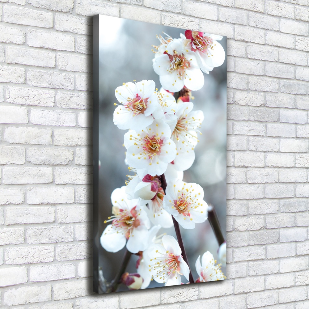 Foto obraz canvas pionowy Kwiaty wiśni