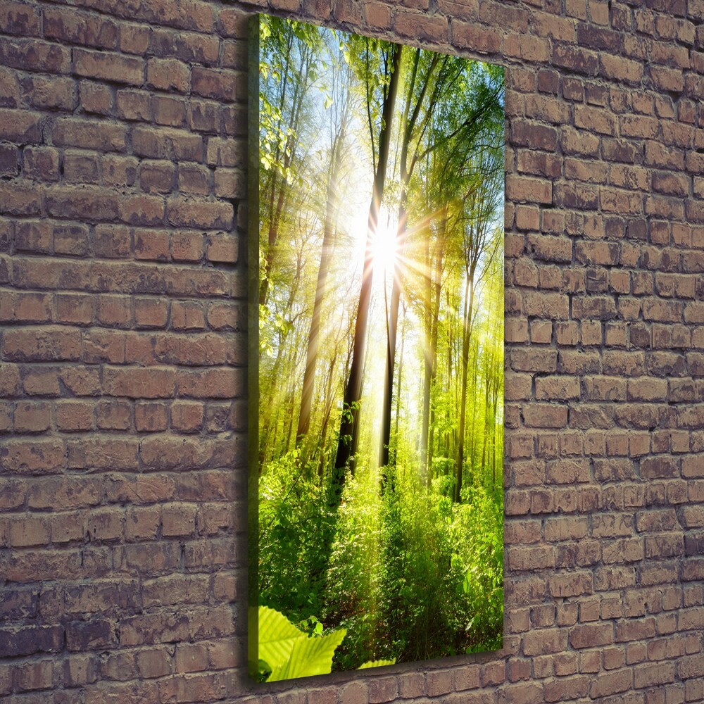 Foto obraz na płótnie pionowy Słońce w lesie