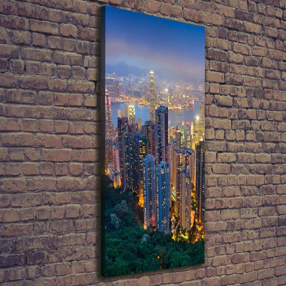 Foto obraz na płótnie pionowy Hongkong nocą