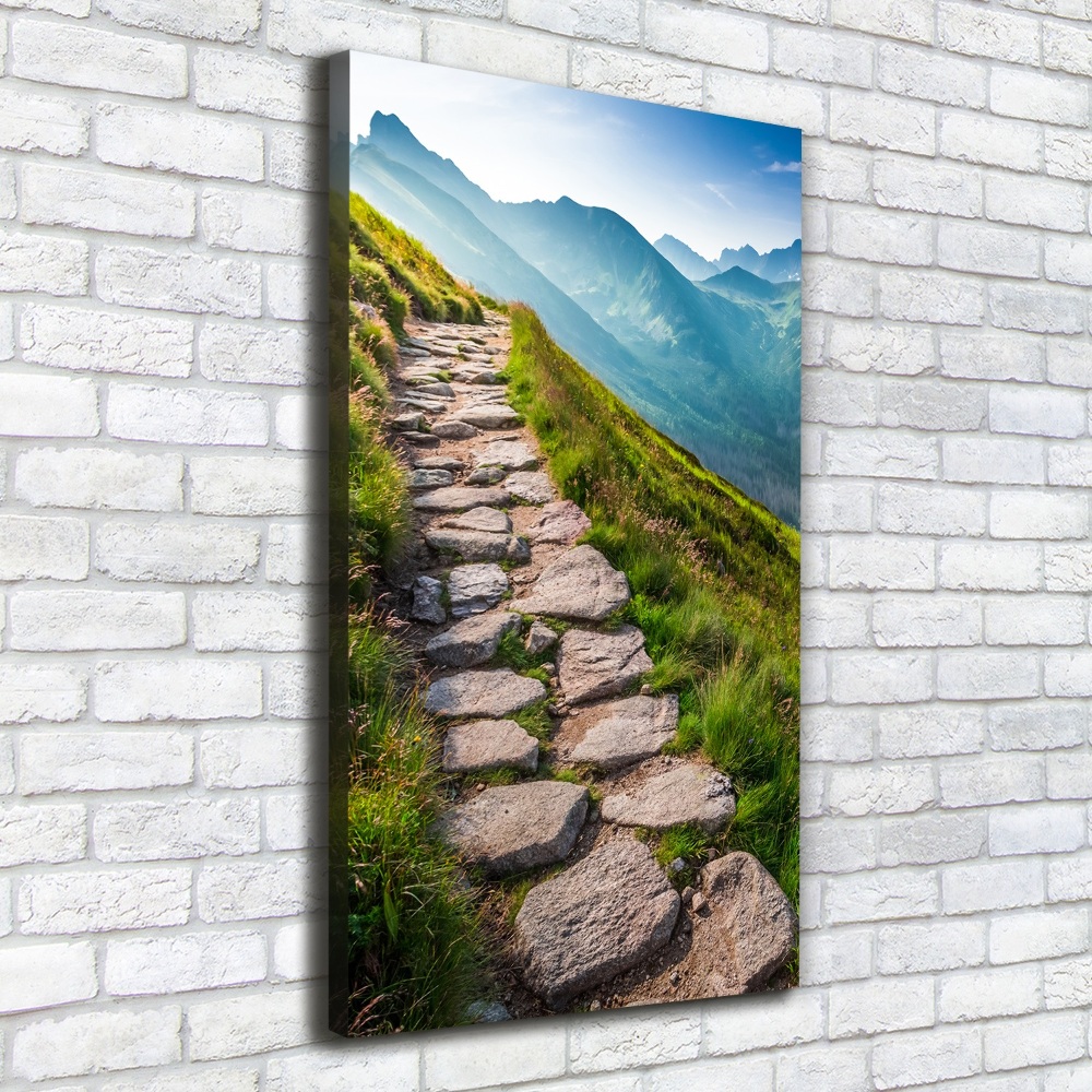 Foto obraz canvas pionowy Górski szlak