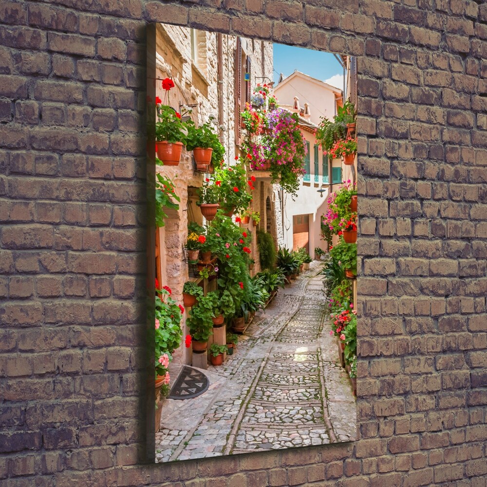 Foto obraz na płótnie pionowy Włoskie uliczki