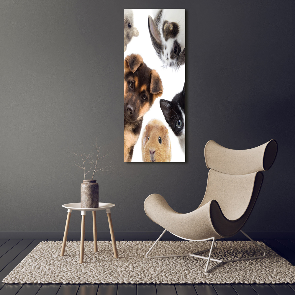 Foto obraz na płótnie pionowy Zwierzęta domowe