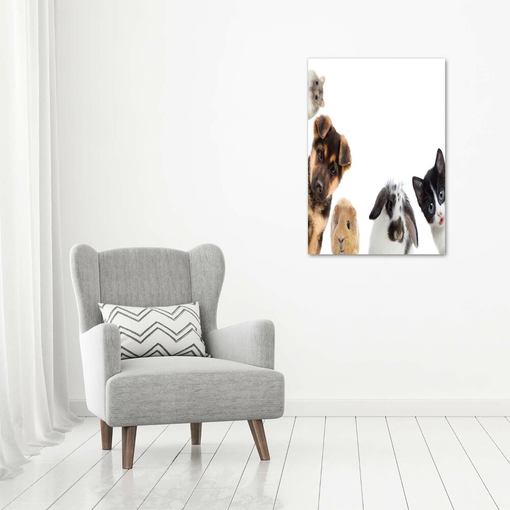 Foto obraz na płótnie pionowy Zwierzęta domowe