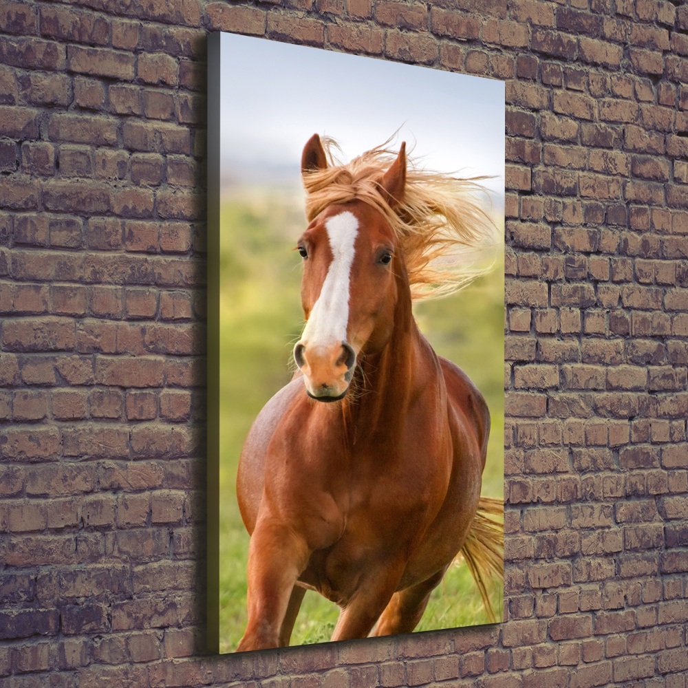 Foto obraz na płótnie pionowy Koń w galopie