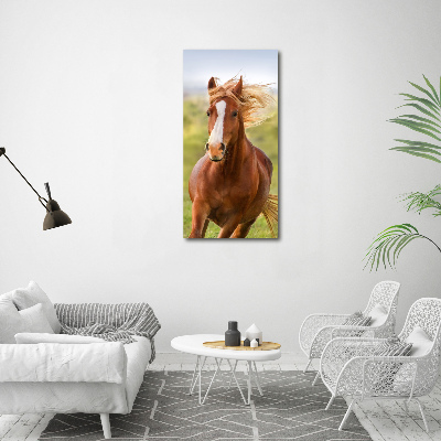 Foto obraz na płótnie pionowy Koń w galopie