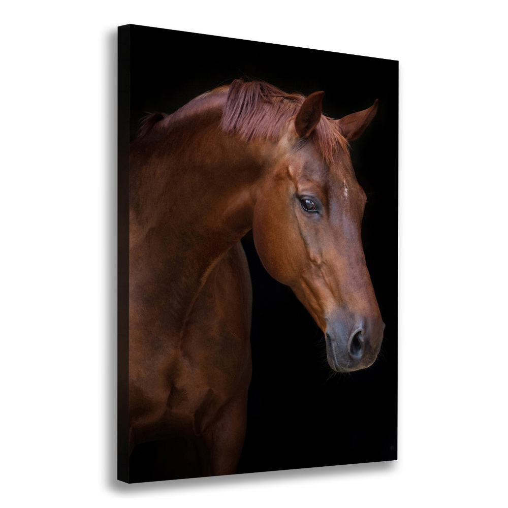 Foto obraz na płótnie pionowy Portret konia