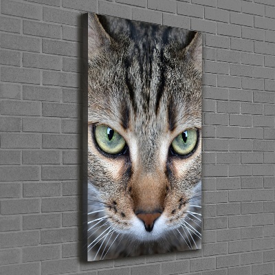 Foto obraz na płótnie do salonu pionowy Oczy kota