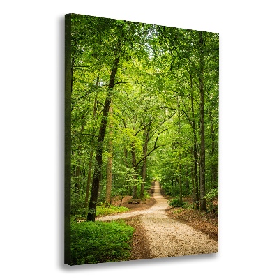 Foto obraz na płótnie pionowy Ścieżka w lesie