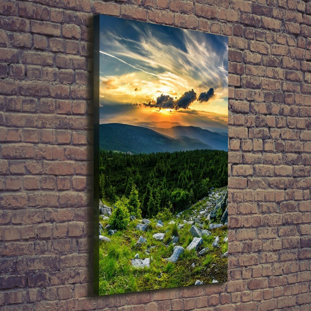 Foto obraz canvas pionowy Panorama gór