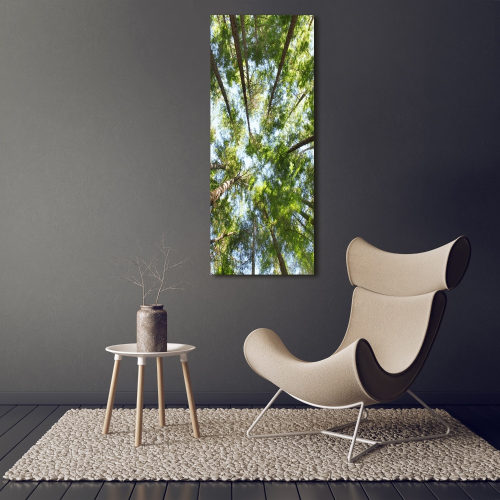Foto obraz canvas pionowy Korona drzew