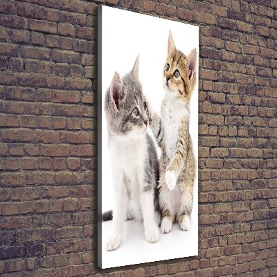 Foto obraz na płótnie pionowy Dwa małe koty