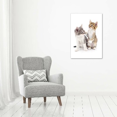 Foto obraz na płótnie pionowy Dwa małe koty