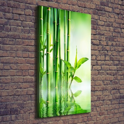Foto obraz na płótnie pionowy Bambus w wodzie