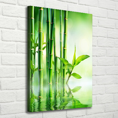 Foto obraz na płótnie pionowy Bambus w wodzie