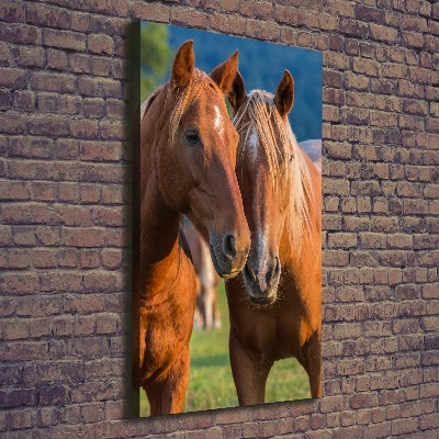 Foto obraz na płótnie do salonu pionowy Dwa konie