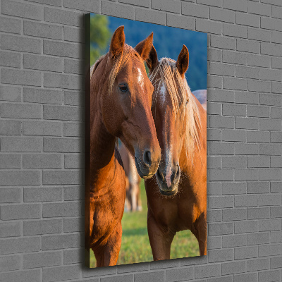 Foto obraz na płótnie do salonu pionowy Dwa konie