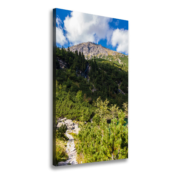 Foto obraz na płótnie pionowy Morskie oko Tatry