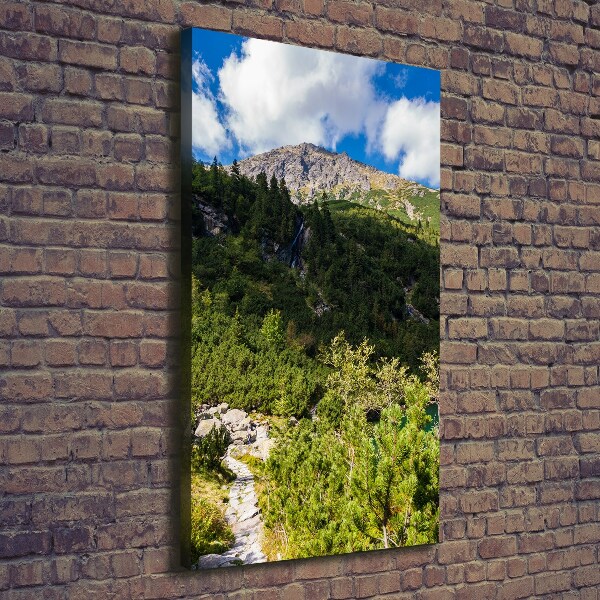 Foto obraz na płótnie pionowy Morskie oko Tatry