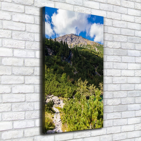 Foto obraz na płótnie pionowy Morskie oko Tatry