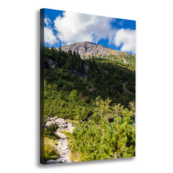 Foto obraz na płótnie pionowy Morskie oko Tatry