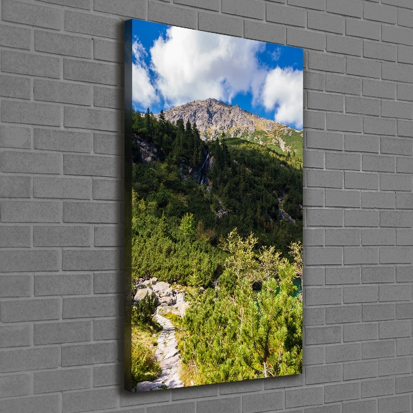 Foto obraz na płótnie pionowy Morskie oko Tatry